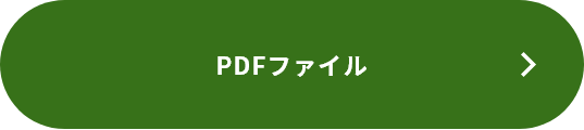 PDFファイル